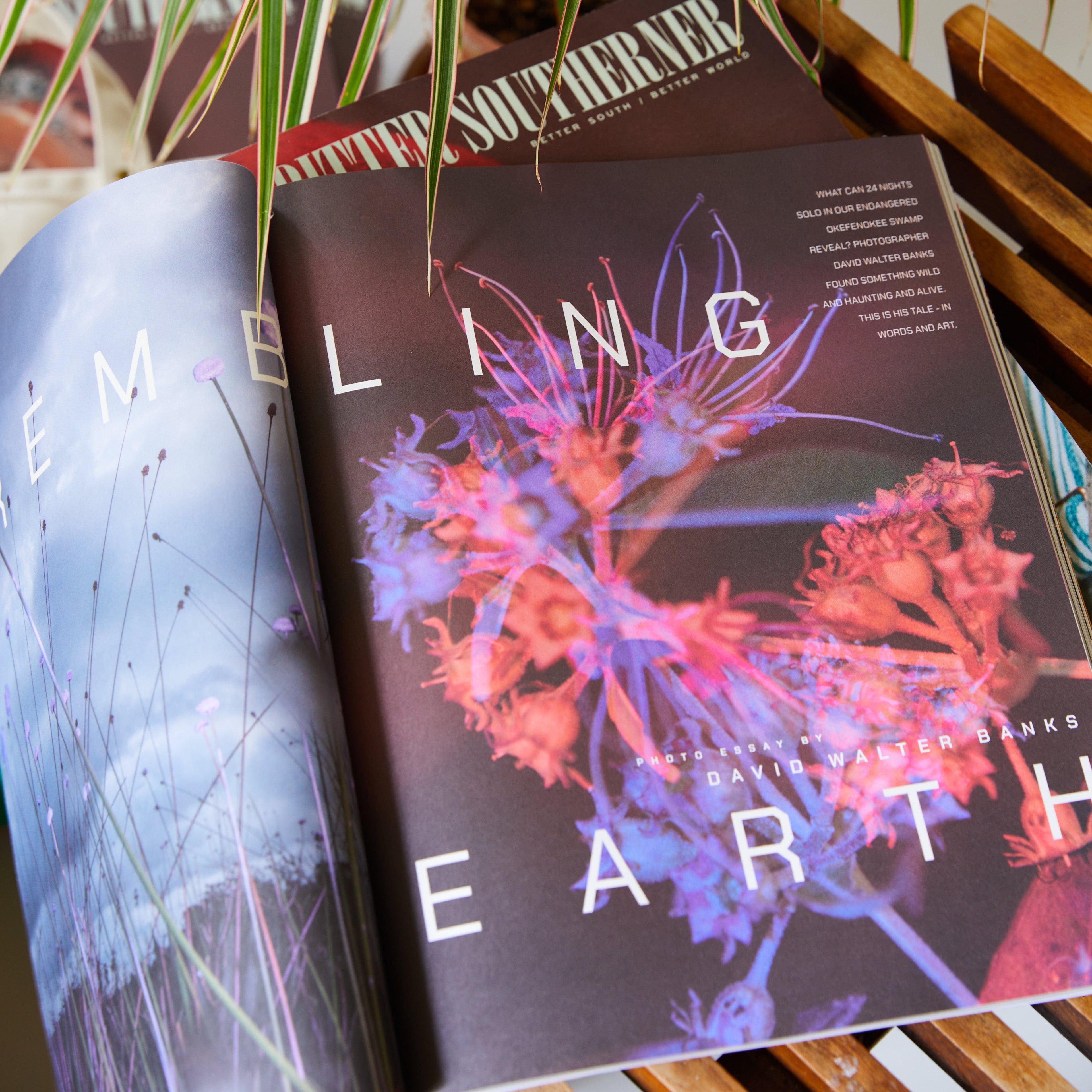 BS Magazine – Issue No. 7