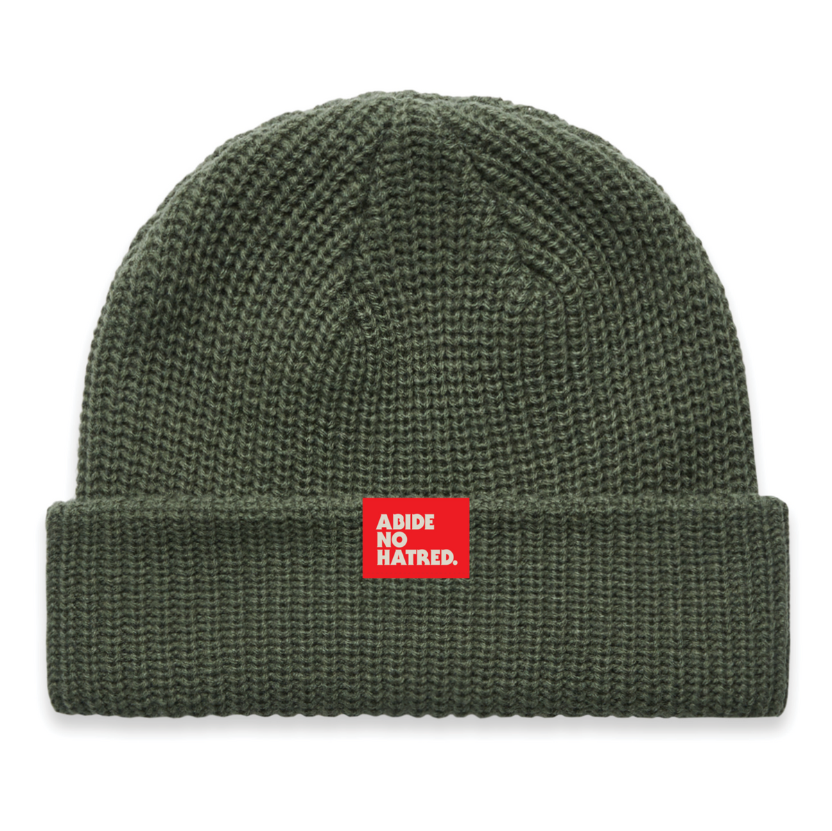 Abide No Hatred Beanie