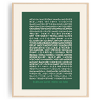 Protect Our Parks Print